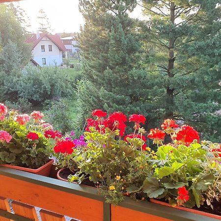 Chalet Chata Tereza By Interhome Stará Lesná エクステリア 写真