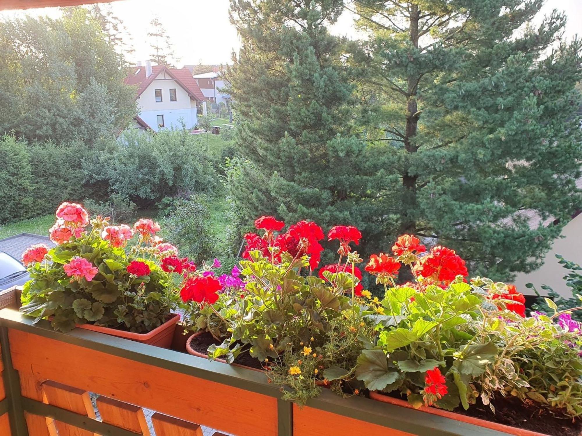 Chalet Chata Tereza By Interhome Stará Lesná エクステリア 写真